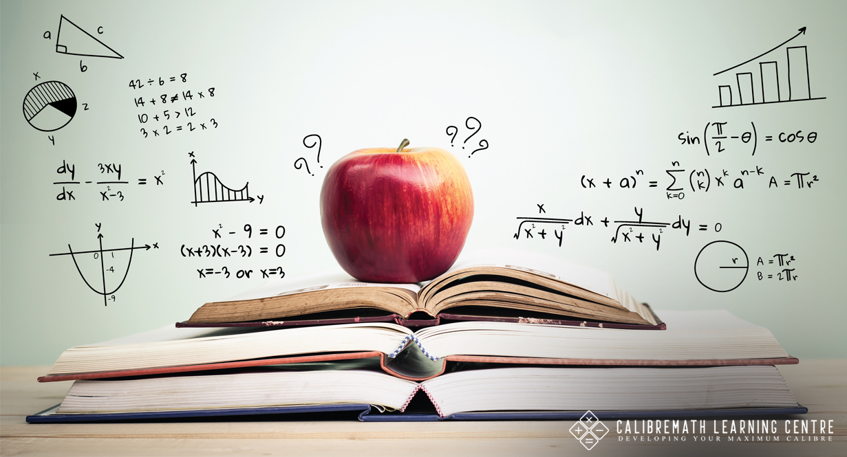 Importance Of Mathematics: Applying Math In Everyday Life